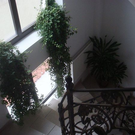 Villa Edera Residence - Gazda Profesionista Bucarest Exterior foto